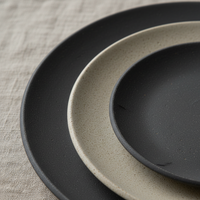 Zen Stoneware Plate Set — view 2